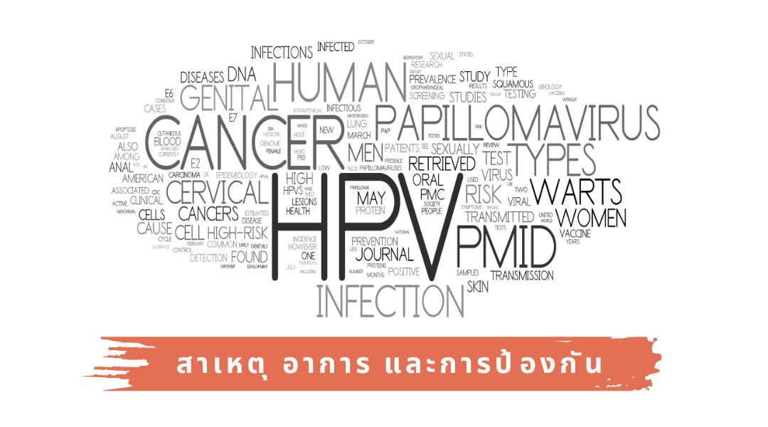 HPV-สาเหตุ-อาการ-และการป้องกัน